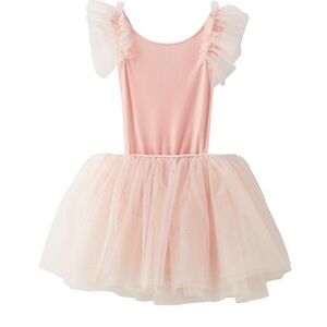 Zara Soft Pink Ballet Costume Dress